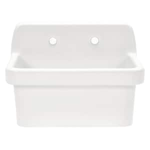 Dori Teal 24 in. Wall Mount Single Bowl Ceramic Sink with 2-Faucet Holes