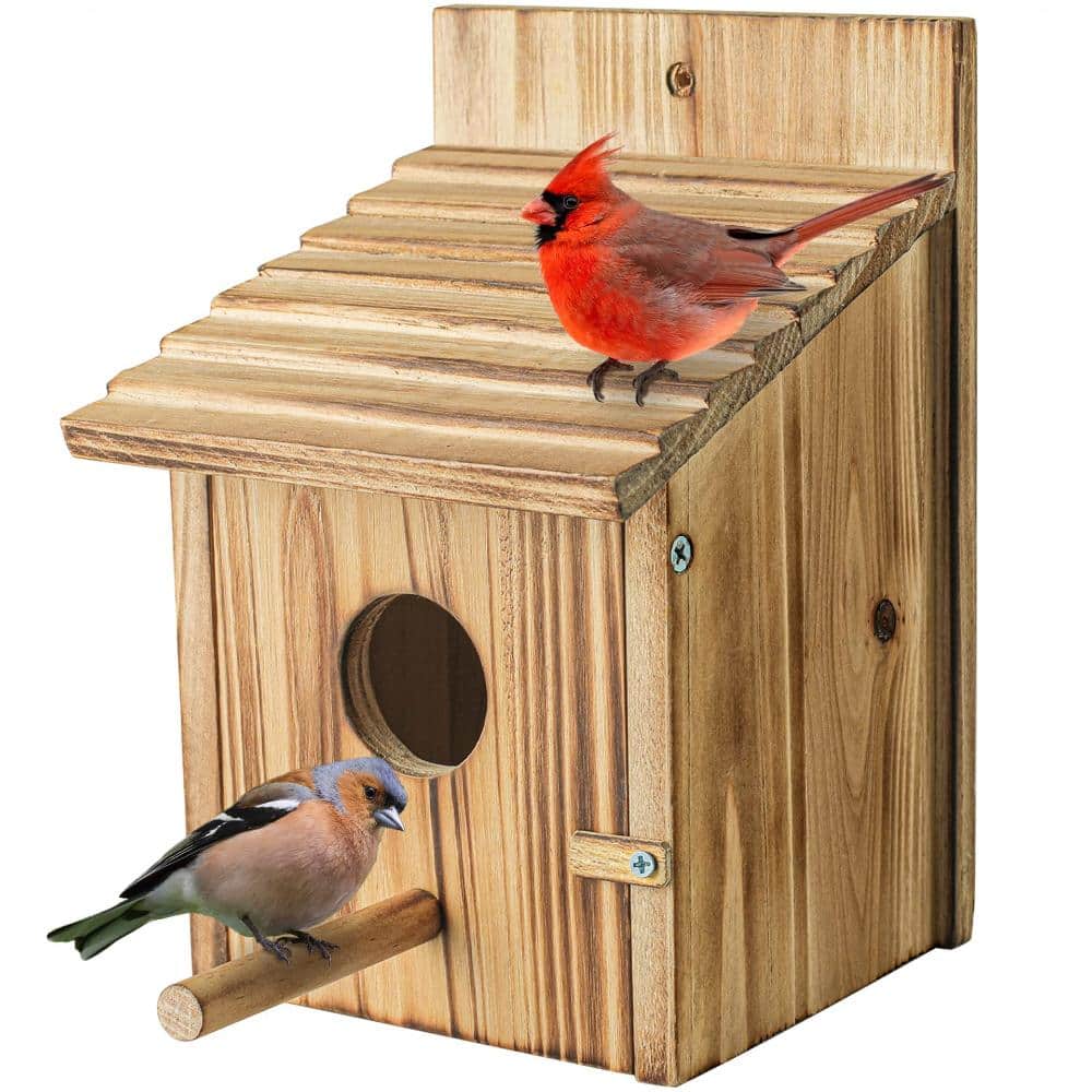 5.9 in Wooden Birdhouse with Perch Natural 1 Piece price history on PriceWatchPro