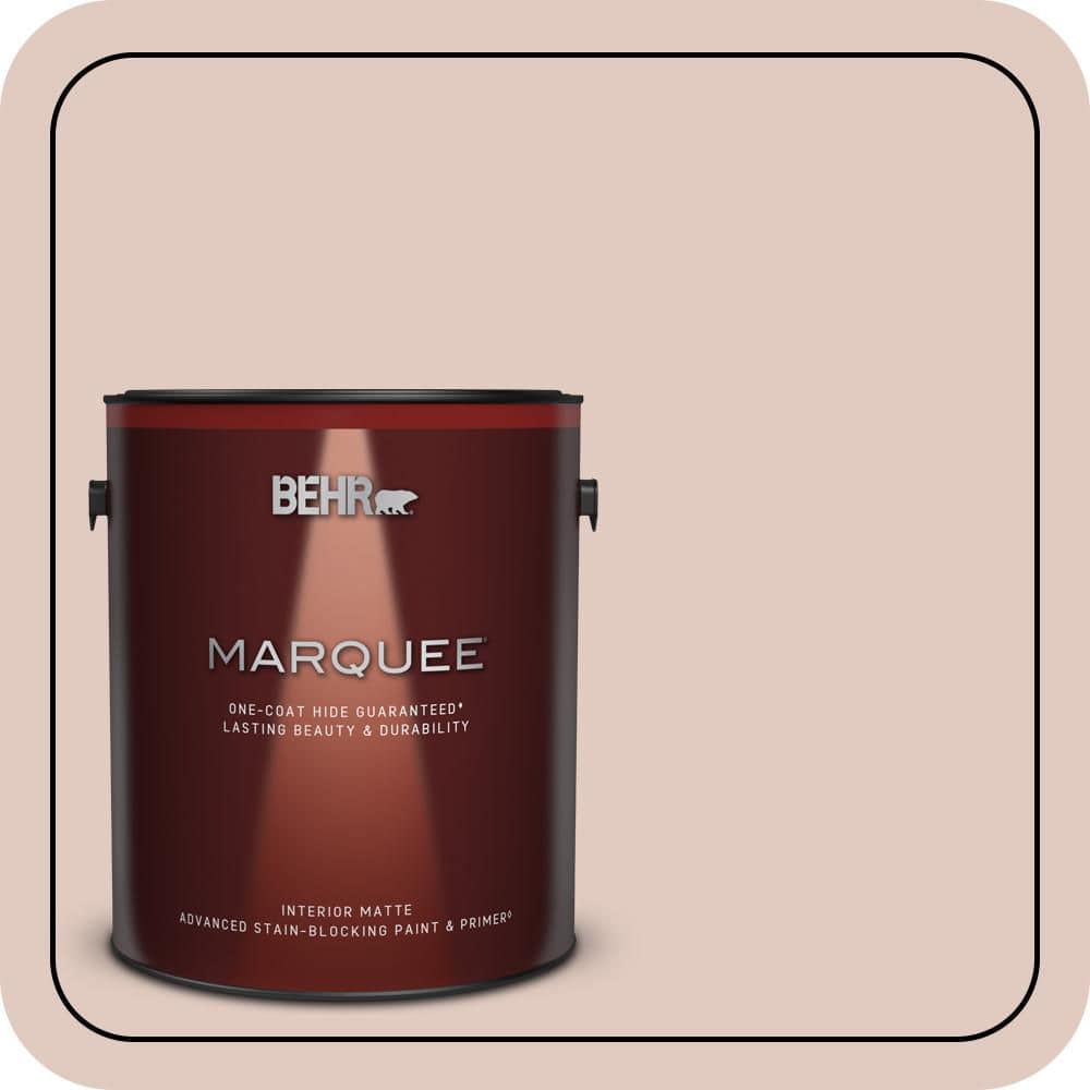 1 gal. Home Decorators Collection #HDC-NT-10 Victorian Cameo Matte Interior Paint & Primer product image for price tracking