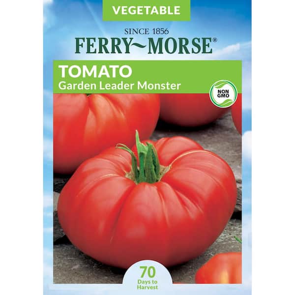 Ferry-Morse Tomato Garden Leader Monster Giant Fruit Seed