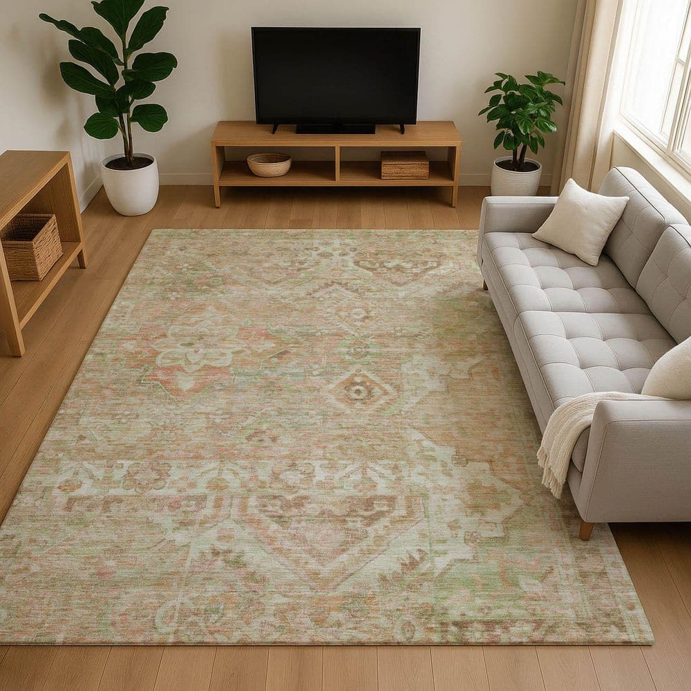 Mayfield Premium Machine Washable Abstract AMF1664 Salmon 3 ft. x 4 ft. Area Rug price history on PriceWatchPro
