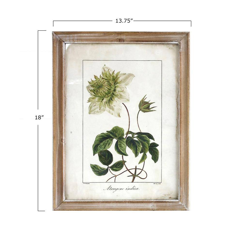 Set of 8 Distressed Brown Framed Botanical Prints