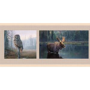 Falkirk Dandy II Black Tan Owl Moose Wolves Nature Peel and Stick Wallpaper Border