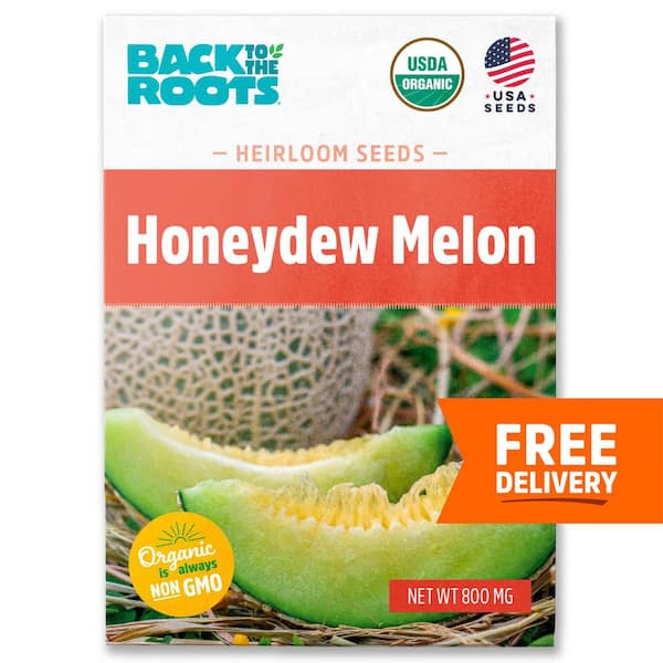 Back to the Roots Organic Honeydew Melon 'Green Flesh' Gardening Seeds