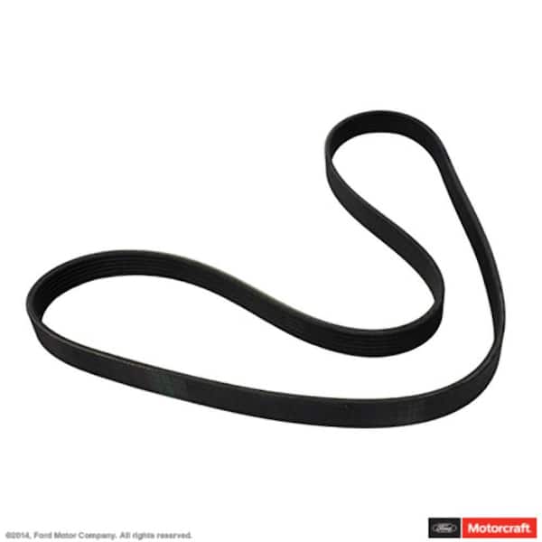 Motorcraft Serpentine Belt