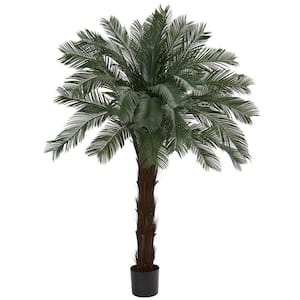6 ft. UV Resistant Indoor/Outdoor Cycas Artificial Tree