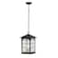 https://images.thdstatic.com/productImages/547f6341-a196-44c0-861e-875038c8275c/svn/aged-iron-outdoor-pendant-lights-hb7102-151-64_65.jpg