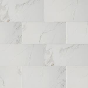 Carrara 24 in. x 48 in. Polished Porcelain Floor and Wall Tile (16 sq. ft./Case)