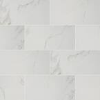 Carrara 12 in. x 24 in. Glazed Polished Porcelain Floor and Wall Tile (28-Cases/448 sq. ft./Pallet)