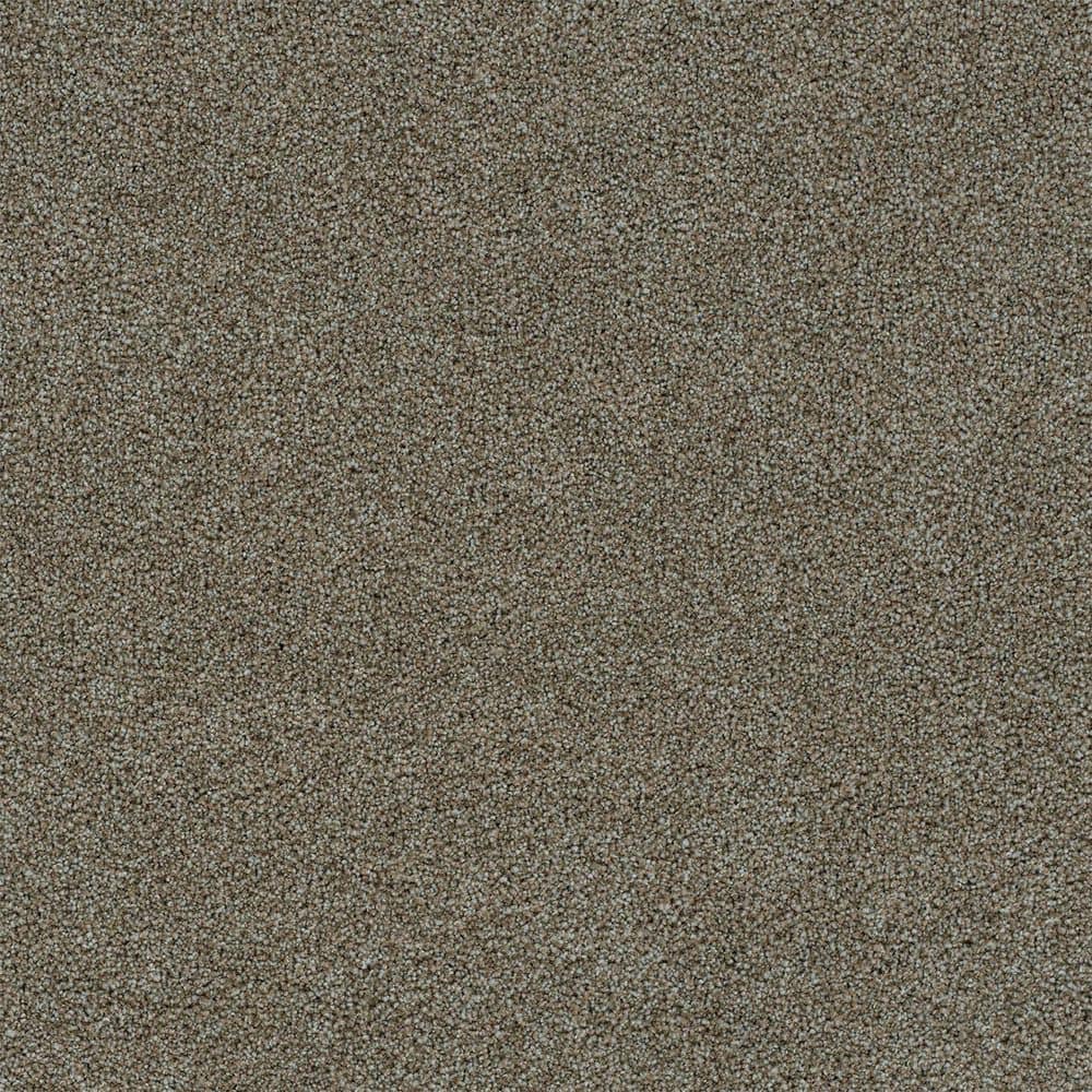8 in. x 8 in. Texture Carpet Sample-Dewdrop III-Color Peaceful price history on PriceWatchPro