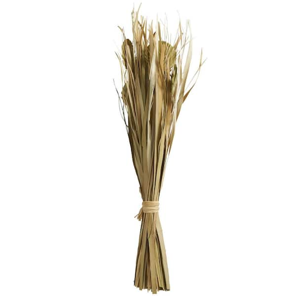 Litton Lane Pampas Natural Foliage with Long Stems (One Bundle) 043435 -  The Home Depot