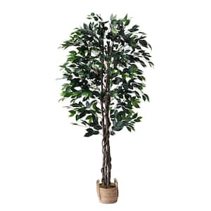 60 in. Green Artificial Ficus Tree with the Basket
