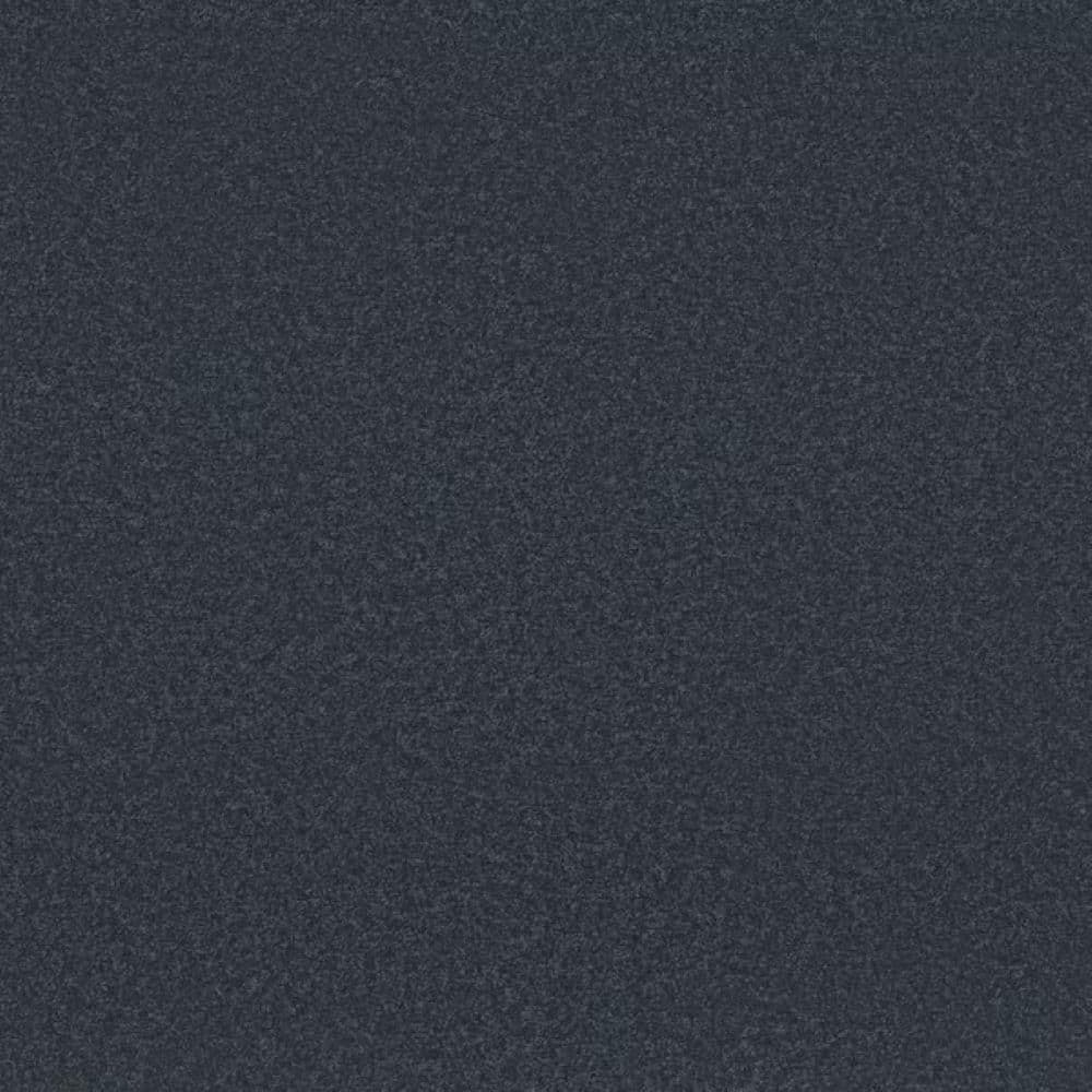 8 in. x 8 in. Texture Carpet Sample-Park Royal II-Color Navy Blazer price history on PriceWatchPro