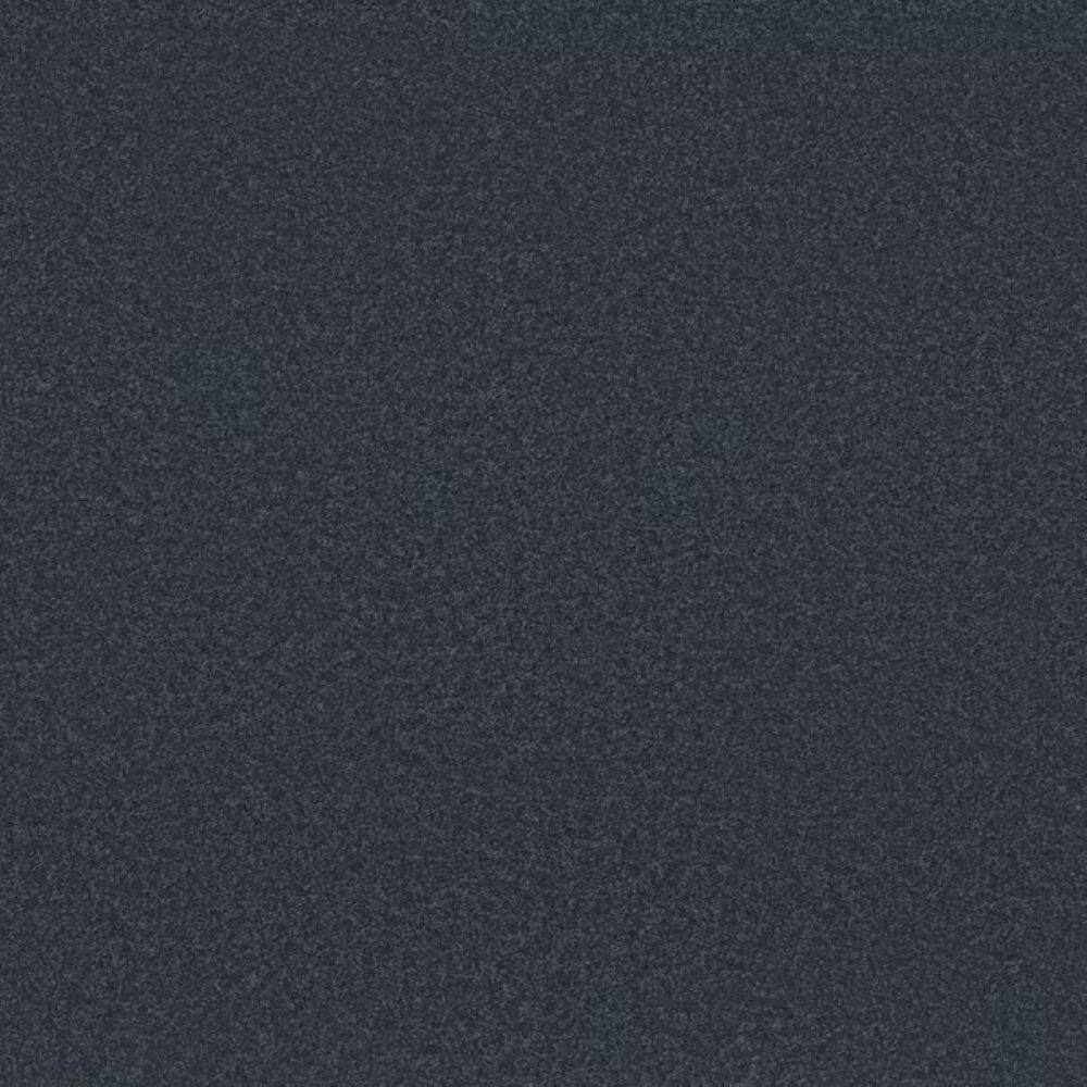 8 in. x 8 in. Texture Carpet Sample-Park Royal I-Color Navy Blazer price history on PriceWatchPro