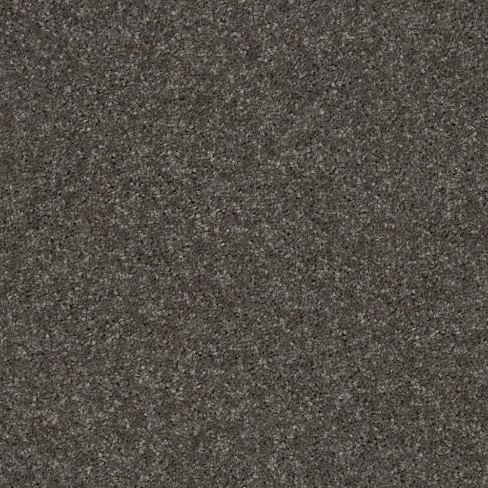 8 in. x 8 in. Texture Carpet Sample - Cottage Comforts - Color Dark Mocha price history on PriceWatchPro