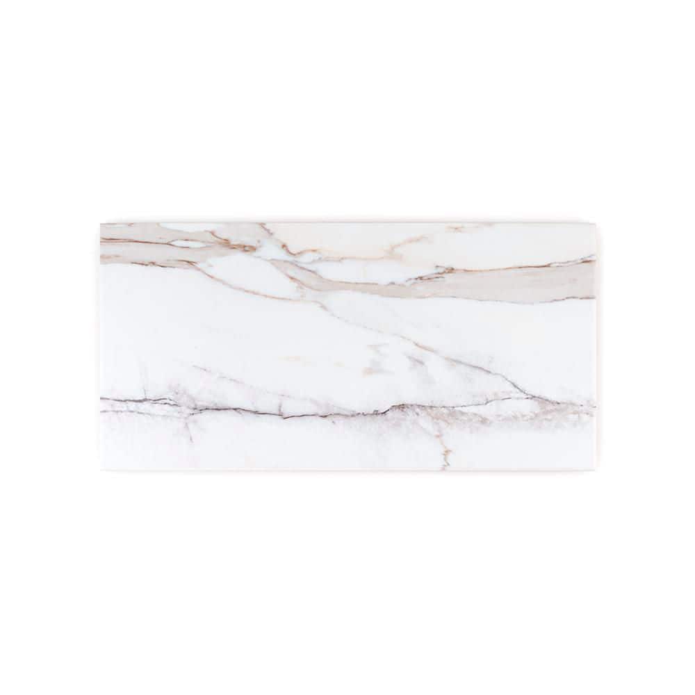 Take Home Tile Sample - Statuario White 3 in. x 6 in. Rectangle Matte Marble Look Ceramic Wall Tile Sample price history on PriceWatchPro