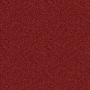 Alpine - Passion - Red 17.3 oz. Polyester Texture Installed Carpet