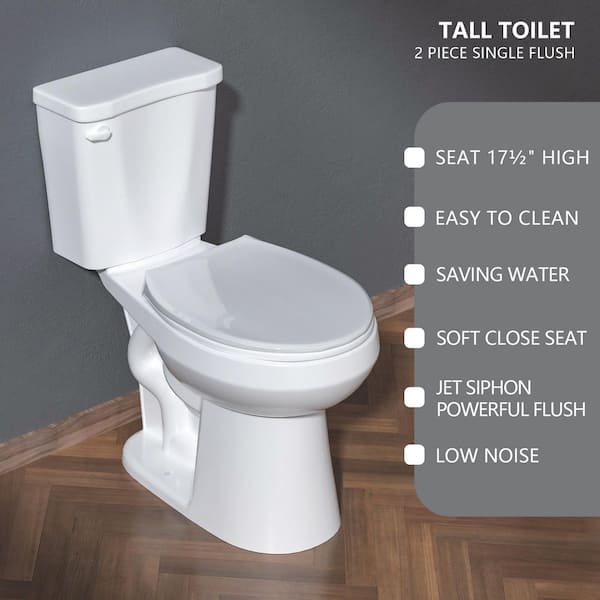 12 in. 2-Piece 1.28 GPF Water-Efficient Single Flush Elongated Toilet in Glossy White Soft Closing Seat Included