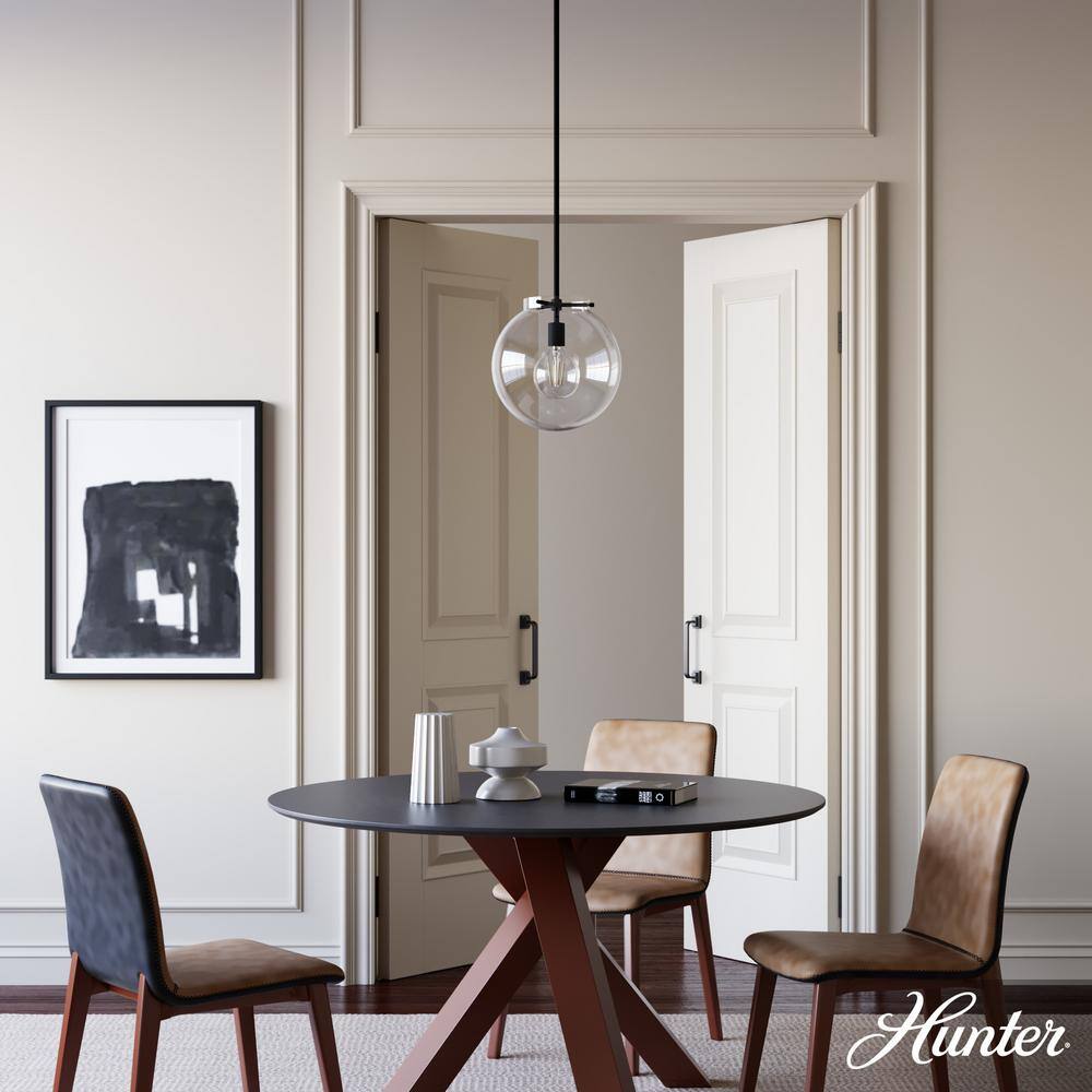 Black Iron and Clear Glass Globe Pendant Light