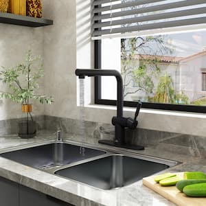 2-Spray Patterns Single Handle Pull Out Sprayer Kitchen Faucet Deckplate Included with Supply Hoses in Matte Black