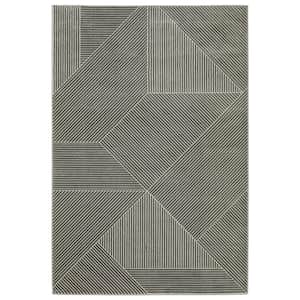 Rayder Gray/Ivory 10 ft. x 13 ft. Geometric Lines Polypropylene/Polyester Indoor Area Rug