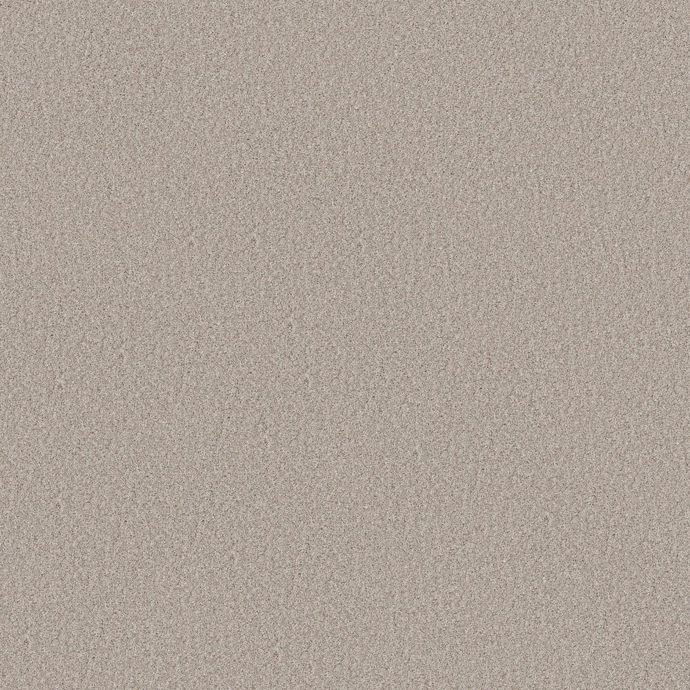 8 in. x 8 in. Texture Carpet Sample - Sculpture Soft I - Color Feather price history on PriceWatchPro
