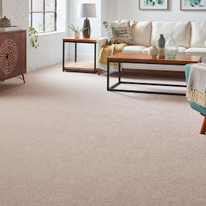 Silver Mane I  - Rustic - Brown 50 oz. Triexta Texture Installed Carpet