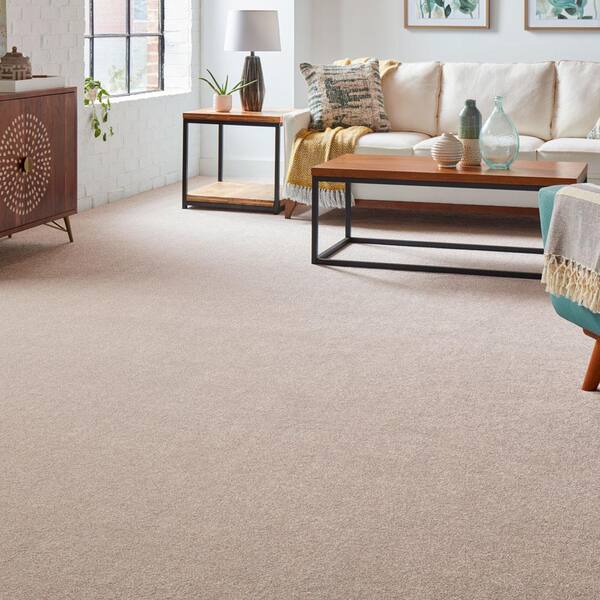 Silver Mane I - Rustic - Brown 50 oz. Triexta Texture Installed Carpet