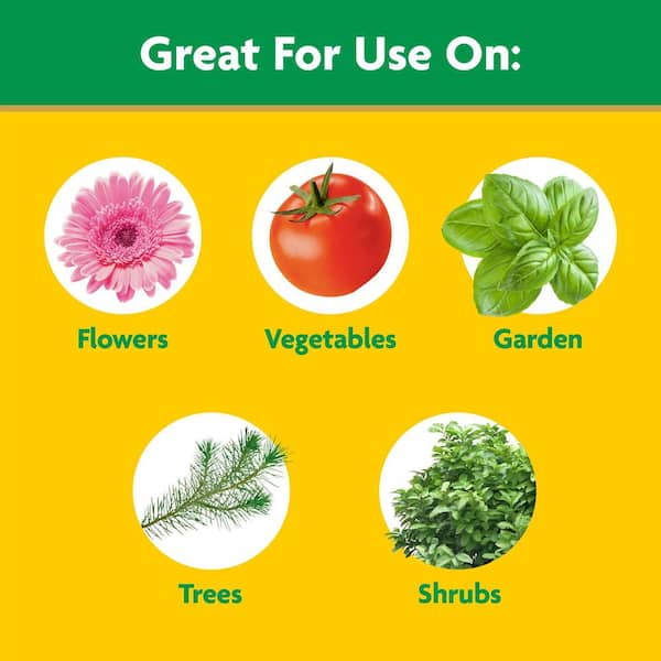Garden Feeder and Water-Soluble All Purpose Plant Food Bundle