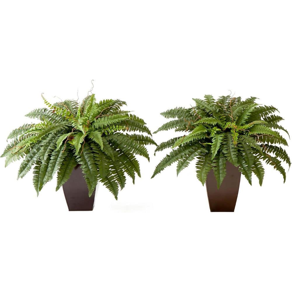 23 in. Green Boston Artificial Fern 2-Pack price history on PriceWatchPro