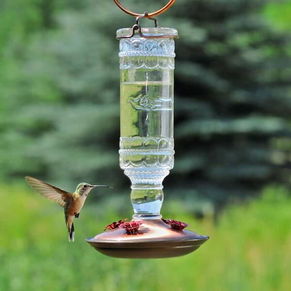 1 Green Antique Bottle 10-Ounce Glass Hummingbird Feeder