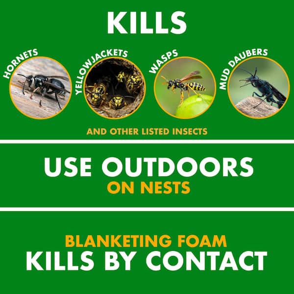 14 oz. Foaming Wasp and Hornet Insect Killer Aerosol Spray (4-Pack)