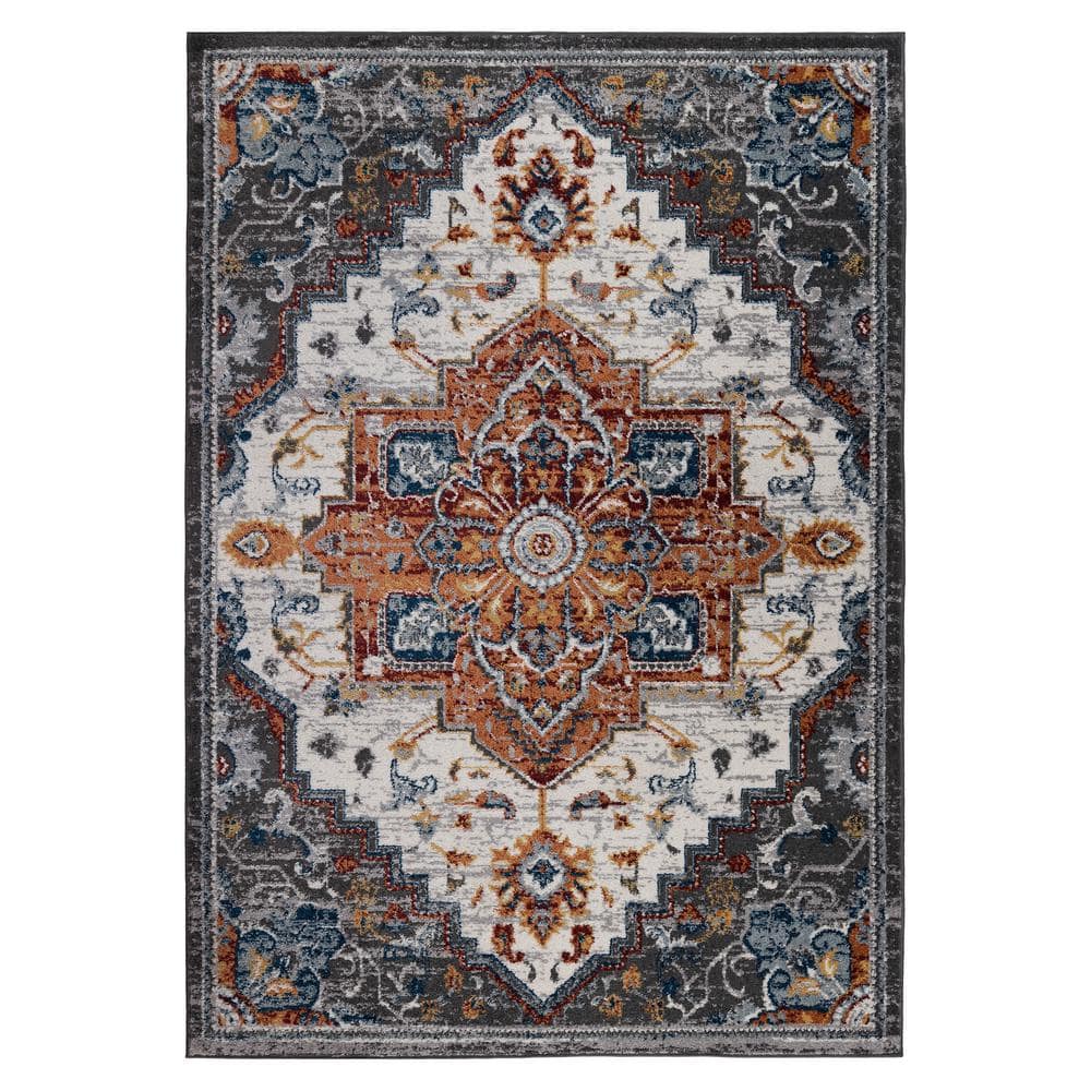 Amer Rugs Alexandria 8 x 10 Multi Medallion Pattern Area Rug for High Traffic Living Room Dining ...