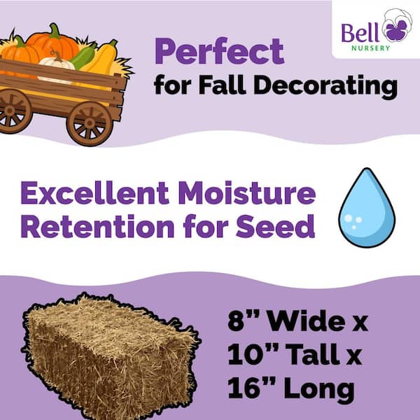 Straw Bale Full Size (13 Bales)