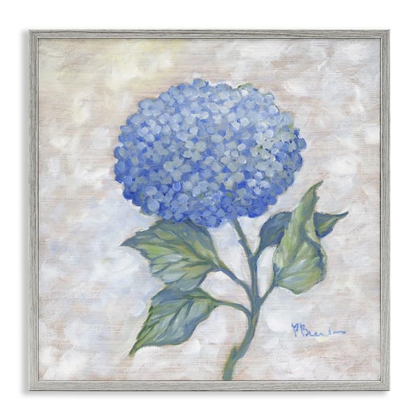 Stupell Industries Traditional Blue Hydrangea Bloom by Paul Brent Gray Framed Nature Giclee Art Print 12 in. x 12 in.