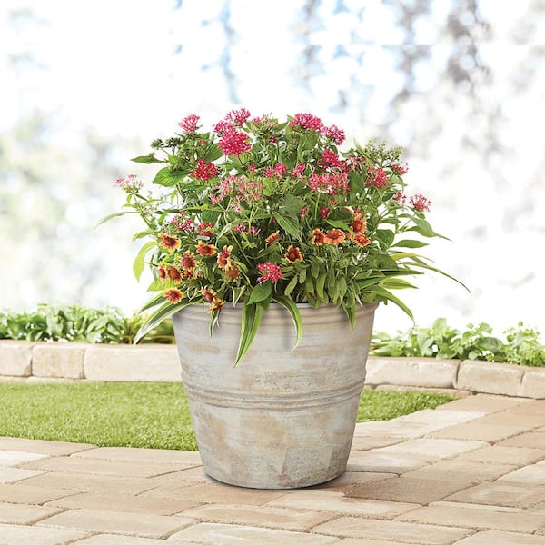 https://images.thdstatic.com/productImages/54afb52d-741f-4c32-b830-05007dcecab6/svn/antik-terracotta-southern-patio-plant-pots-cly-080718-e1_600.jpg