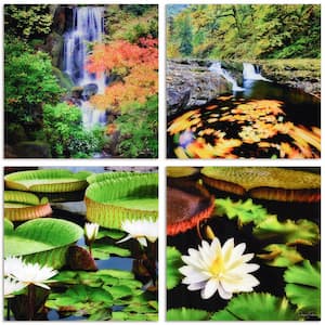 "Amazon's Water Lilies" Frameless Free Floating Reverse Printed Tempered Glass Nature Scapes Wall Art, 20 in. x 20 in.