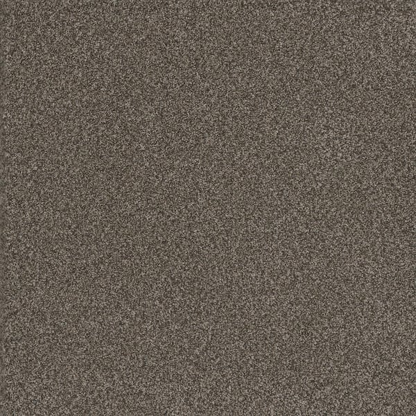 Home Decorators Collection Serene Glory II-Placid Brown-55 oz. SD Polyester Texture Installed Carpet