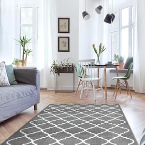 Area Rugs Modern Desing for Living Room 2 x 3 Gray/White