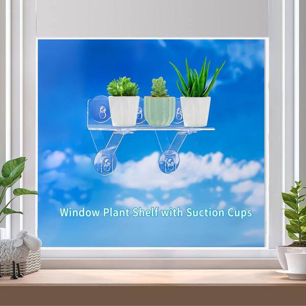 small indoor succulent plants Shop Succulents | Assorted Collection of Live Succulent Plants, Hand Selected Variety Pack of Mini Succulents