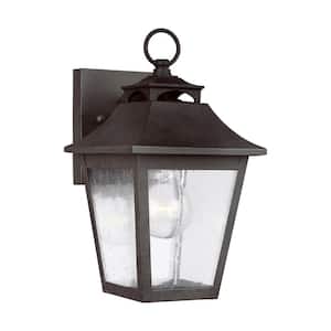 Galena 1-Light Sable Outdoor Wall Mount Lantern with Clear Seeded Glass