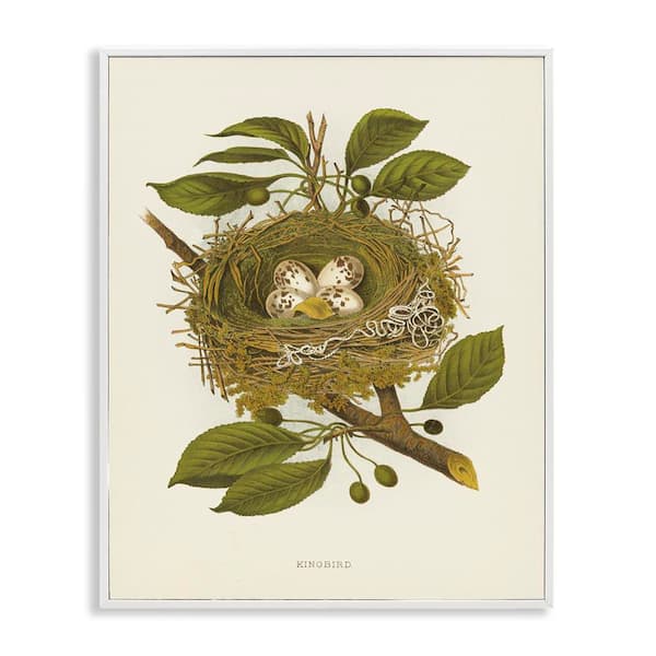 Stupell Industries Birdnest with Spotted Eggs by Tina Higgins Designs, Inc. White Framed Nature Giclee Art Print 14 in. x 11 in.