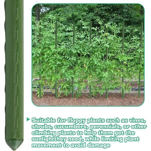 SenQWFa 58 in. Green Steel Plant Garden Tomato Stakes with Plastic