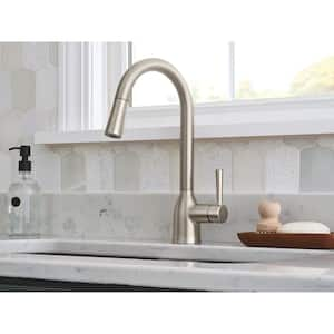 Adler Single-Handle Pull-Down Sprayer Kitchen Faucet with Power Clean and Reflex in Spot Resist Stainless