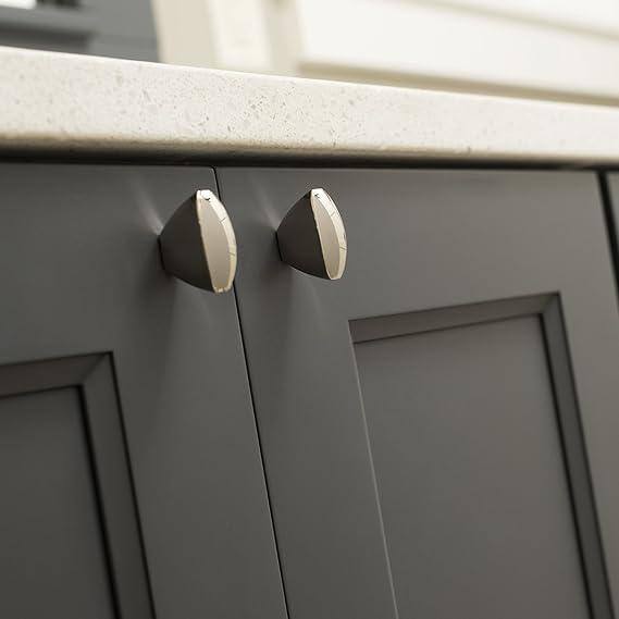 Polished Nickel Oval Cabinet Knob with Mounting Hardware