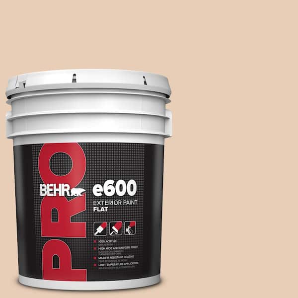 BEHR PRO 5 gal. #PPU3-06 Venetian Mask Flat Paint