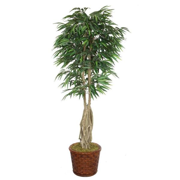 Laura Ashley 83 in. Tall Willow Ficus with Multiple Trunks in 17 in. Fiberstone Planter