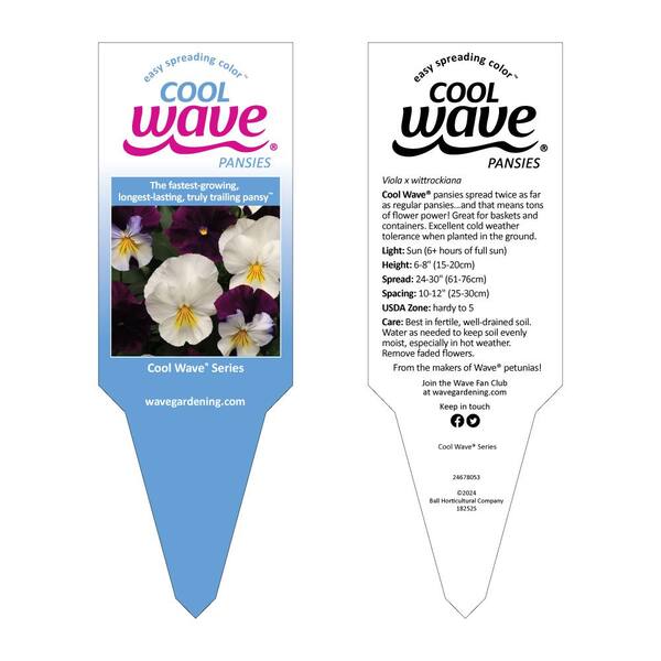Cool Wave 1.2 Gal. Viola Cool Wave Pansy Annual Plant Mix with