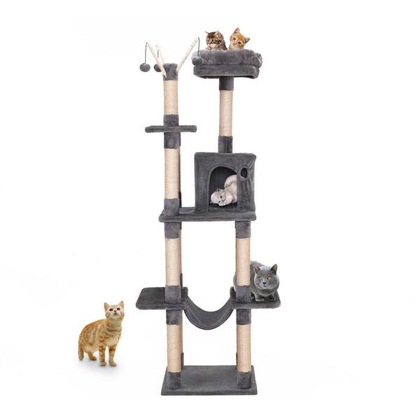cat play climbing frame