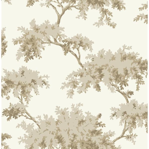 NuWallpaper Taupe Alder Matte Vinyl Peel And Stick Wallpaper NUS4474   Nu    Rolls Nus4474 64 600 